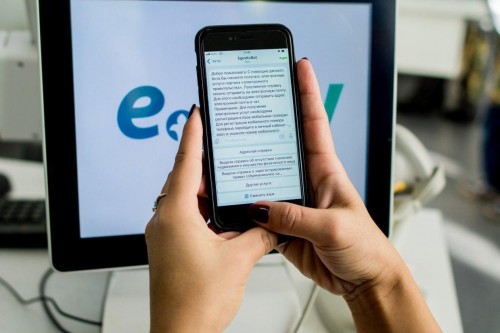 Казахстан может стать образцовым электронным государством