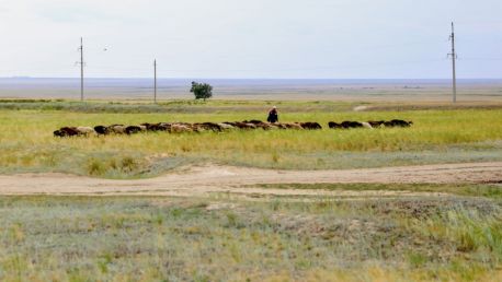 Президент подписал закон запрещающий продажу земли иностранцам