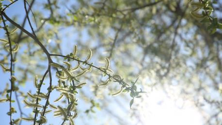 Какая погода ожидает казахстанцев 14 мая?