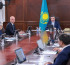 Стратегиялық саланы дамыту мүмкіндігі