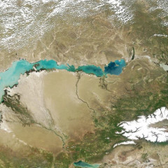«Қазақмыс» Балқаш көлін сақтауға үлес қосады