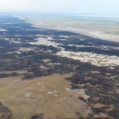 Атыраудағы қамыс өрті 11 күннен кейін сөндірілді
