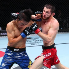 Жарыс күнделігі: UFC